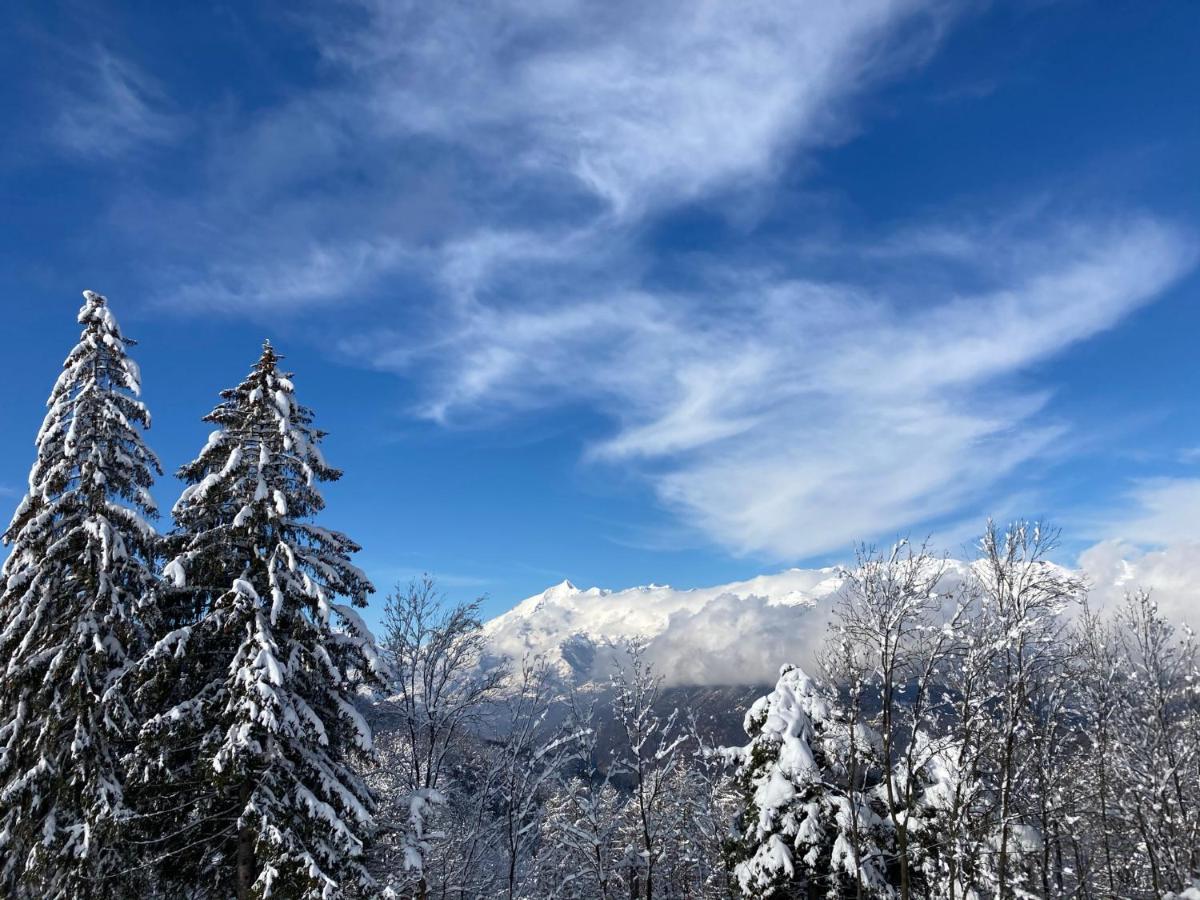 Il Ciapine Bed and Breakfast Giaveno Εξωτερικό φωτογραφία